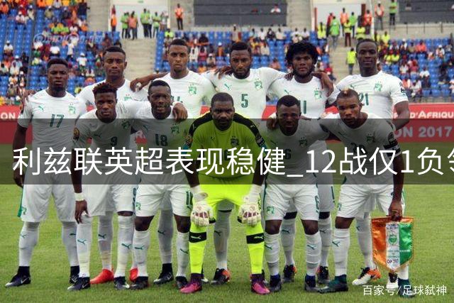 利兹联英超表现稳健 12战仅1负领跑非升班马